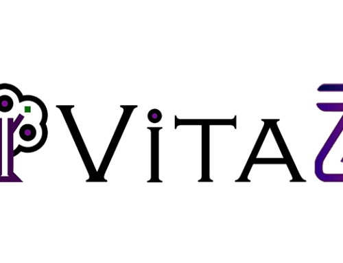 IEEE VR Osaka 2019, Vitaz Team