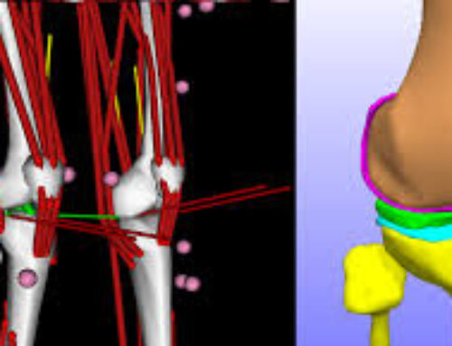 Technical achievement award, Stanford OpenSim workshop